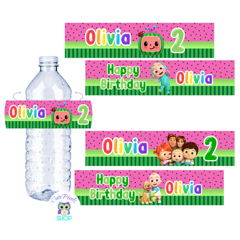 Stickers Frozen Water Bottles  Disney Water Bottle Stickers - 10