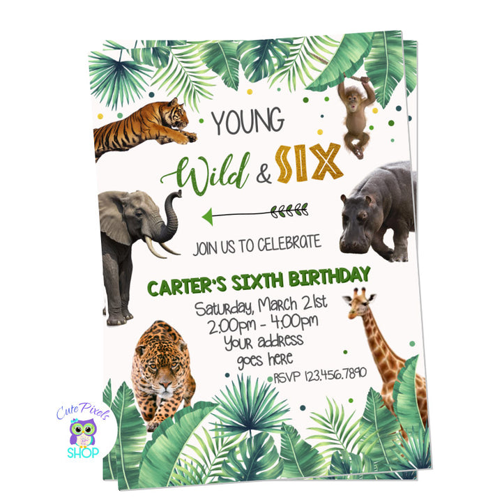 Wild animals invitation with real jungle animals on it, perfect for a wild birthday party