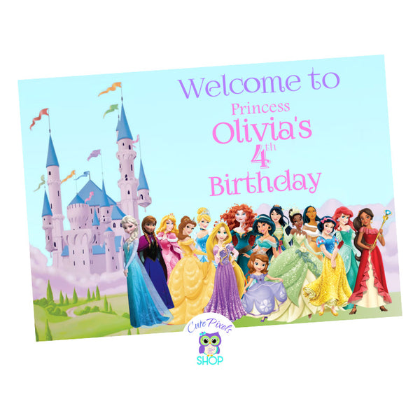 Disney Princess Backdrop, including all princess in front of the Disney Castle and a welcome message to your princess birthday.