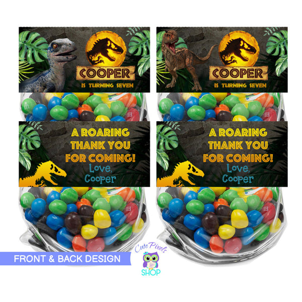 Jurassic World Dominion Bag toppers to be used as party favors in your Jurassic World Birthday Party. Having Toro and Blue in the front and a thank you message on the back.