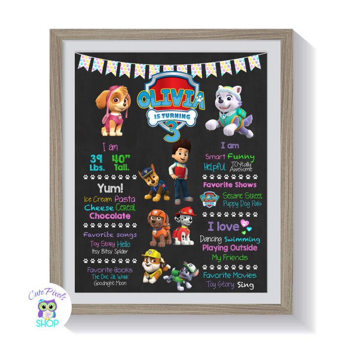 Paw Patrol Birthday sign, Paw Patrol chalkboard sign with milestones for child and many Paw Patrol Characters, Girl design framed