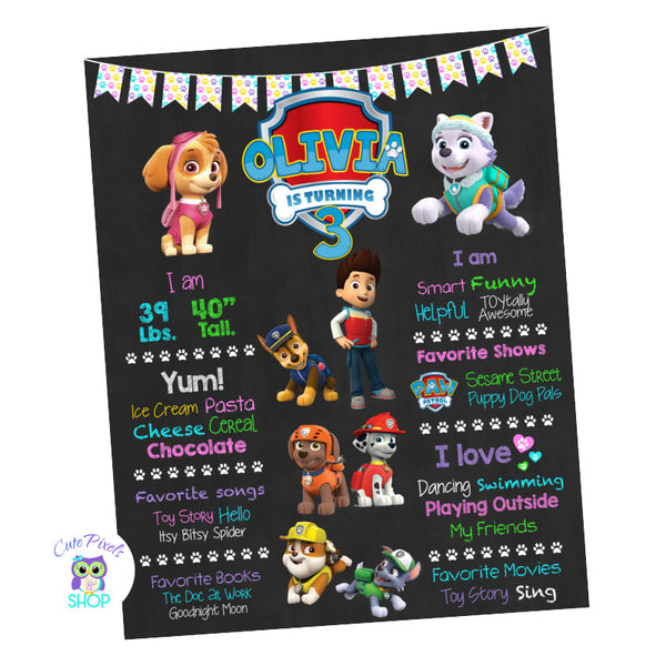 Paw Patrol Birthday sign, Paw Patrol chalkboard sign with milestones for child and many Paw Patrol Characters, Girl design